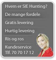 Fordele SIE-Hunting
