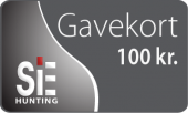 100 DKK Gavekort