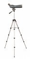 Hawke Nature 20-60x60 
