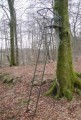 Jagtstige/Hochsitz HS25 Dangate