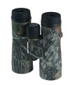 Vanguard Spirit 10x42